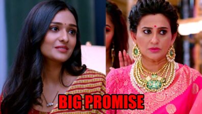 Bhagya Lakshmi: Lakshmi makes a big promise to Neelam