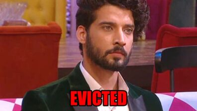 Bigg Boss 16: Gautam Vig gets evicted