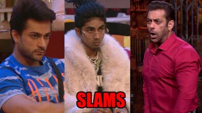 Bigg Boss 16: Salman Khan slams MC Stan and Shalin Bhanot over their physical fight