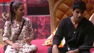 Bigg Boss 16: Will Priyanka and Ankit’s friendship survive in the house?