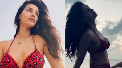 Bikini Queen Disha Patani Slays The Red Bikini Incredibly