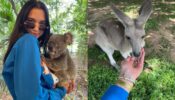 Check Out: Dua Lipa Enjoying Her Time With Koalas And Kangaroos Amid Her Future Nostalgia World Tour