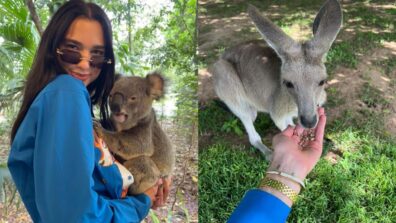 Check Out: Dua Lipa Enjoying Her Time With Koalas And Kangaroos Amid Her Future Nostalgia World Tour