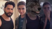Check Out: Varun Dhawan And Kriti Sanon Promote Their Upcoming Movie ‘Bhediya’ With An Instagram Filter