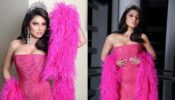 Urvashi Rautela is a gorgeous flower in desert, looks gorgeous in pink mermaid gown and crown