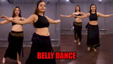 Devoleena Bhattacharjee does a hot belly dance, Vishal Singh feels the heat