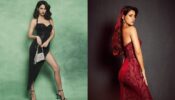 Disha Patani Raising Hotness In Sultry Bold Body Hugging Gown, See Pics