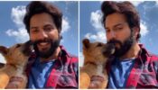 “Dogs Of Bhediya” Varun Dhawan Shares A Cute Video Kissing Dog