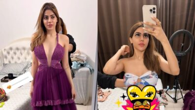 From shimmery grey skirt to purple plunging neckline gown: Nikki Tamboli and her most stunning vogue moments that went viral