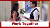 Ghum Hai Kisikey Pyaar Meiin: Virat and Sai get a chance to work as a team