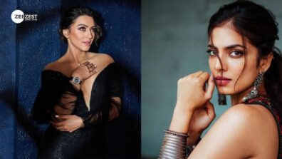 Hansika Motwani and Malavika Mohanan are killing it in stunning photoshoots, we are in awe