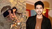 Help and heal better: Tara Sutaria feeds adorable stray dogs and sends important message, Armaan Malik loves it