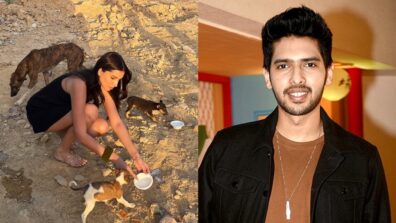 Help and heal better: Tara Sutaria feeds adorable stray dogs and sends important message, Armaan Malik loves it