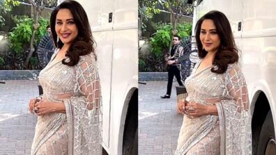 Madhuri Dixit Is A Heartthrob In A Silver Designer See-Through Netted Saree; Check Out Her Desi Vibe