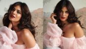 Malavika Mohanan Is Soaring Hotness In Pink Corset Off-Shoulder Top With Puffy Sleeves And Lace Pants