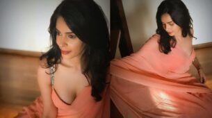 Mallika Sherawat Is A Saree Girl Looking Glamorous In Orange Saree