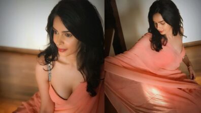 Mallika Sherawat Is A Saree Girl Looking Glamorous In Orange Saree