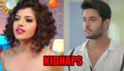 Meet: Laila kidnaps Meet Ahlawat