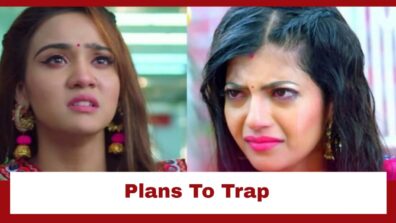 Meet: Meet puts into action a plan to trap Neelam