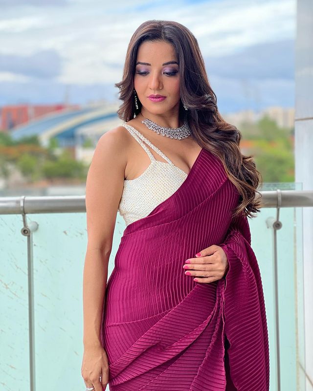 Desi Beauty: Monalisa looks super hot in purple saree, fans love it - 2