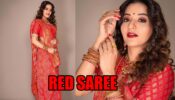 Monalisa Looks Beautiful Red Rose In Glamorous Red Saree: See Pics