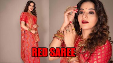 Monalisa Looks Beautiful Red Rose In Glamorous Red Saree: See Pics