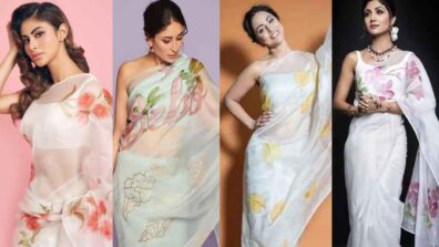 Mouni Roy, Kareena Kapoor, Hina Khan, And Shilpa Shetty Embracing Ethnicity In Beautiful Hand-Painted Organza Saree