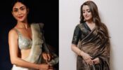 Mrunal Thakur In White Saree With A Ruffle Border Or Trisha Krishnan In Black Gold Work Saree; Whose Saree Is Bewitching?