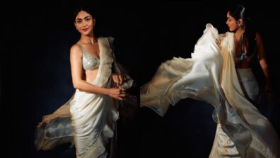 Mrunal Thakur raises oomph game on internet with latest saree photodump, we are crushing