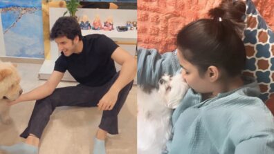 Paras Kalnawat and Jasmin Bhasin’s weekends are all about ‘paw-love’