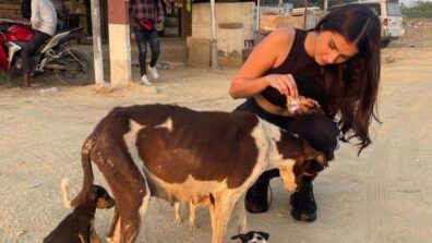 Photos of Tara Sutaria feeding street dogs go viral, fans impressed