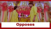 Pyar Ka Pehla Naam Radha Mohan: Radha opposes Damini-Mohan wedding