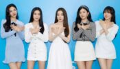 Red Velvet’s Popular Music That Fans Love Listening On Loop