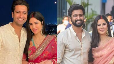 Refreshing, Hilarious, And Out Of Box Memes On Katrina Kaif And Vicky Kaushal That Will Make You Go Lol