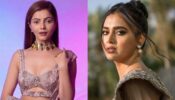 Rubina Dilaik and Tejasswi Prakash flaunt curvaceous midriffs in stunning light-brown ethnic outfits, we love it