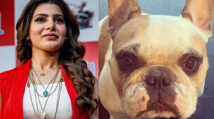Samantha Ruth Prabhu Shares A Cute Picture Of Her Pet Dog