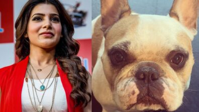 Samantha Ruth Prabhu Shares A Cute Picture Of Her Pet Dog