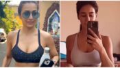 Video: Disha Patani And Malaika Arora Look Hot In Gym Looks