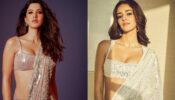 Shanaya Kapoor Or Ananya Panday: Whose Shimmery Sequin Saree In Light Shade Is Captivating?