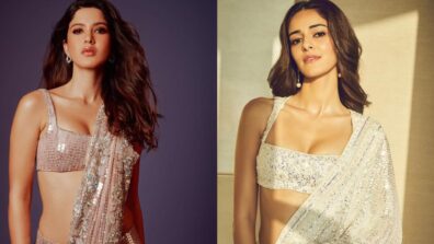 Shanaya Kapoor Or Ananya Panday: Whose Shimmery Sequin Saree In Light Shade Is Captivating?