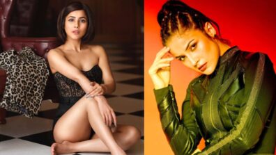 Shehnaaz Gill Is A Epitome Of Hotness In These Outfits; Check It Out