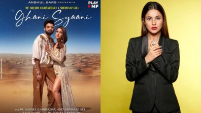 Shehnaaz Gill Is Back In Music With Her Latest Ghani Syaani; Take A Look At Song Poster