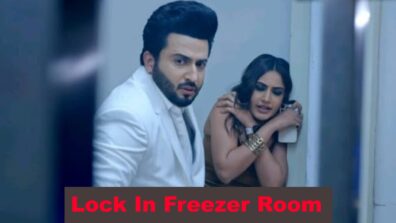 Sherdil Shergill 15 November 2022 Written Update Ep 37: Rajkumar And Manmeet Get Locked In Freezer Room