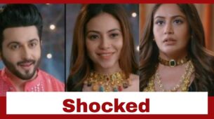 Sherdil Shergill: Anisha gets shocked to know of Raj-Manmeet’s connection