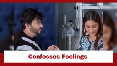 Sherdil Shergill: Manmeet confesses her feelings before Rajkumar