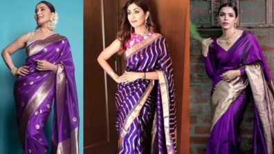 Shriya Pilgaonkar, Madhuri Dixit To Shilpa Shetty: Actresses’ Fascinating Glimpses In Purple Silk Sarees