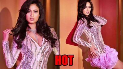 Shweta Tiwari Dazzles In A Pink Ruffle Dress, Fans Feel The Heat