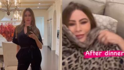 Sofia Vergara’s After Dinner Naps With Her Leopard Blanket Will Melt Your Heart, Take A Look