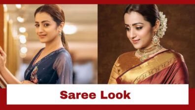 South Star Trisha Looks The Stylish Diva In Her Amazing Saree Collection