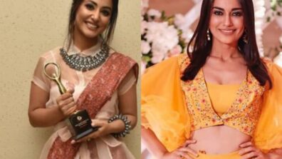 Sriti Jha To Rubina Dilaik; Actresses embracing Indo western style like a Pro